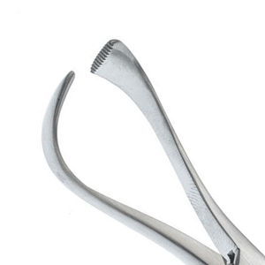 Pinzas de sujeción para esponjas Foerster con anillo dentado, instrumento quirúrgico de acero inoxidable, modelo OEM ASI-AW-SC-00030, cirugía plástica, CE - Product Image 2