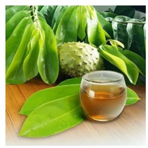 Natural Graviola Leaves Herbal <b>Tea</b> Bulk Loose <b>Tea</b> Export Quality Supply - Product Image 2