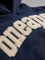 Ensemble de survêtement bleu imprimé pour homme, sweat à capuche et pantalon de jogging oversize, streetwear, logo brodé personnalisé, coton épais respirant, deux pièces