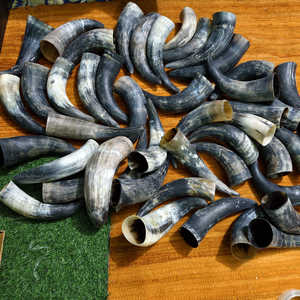 Cuerno Vikingo Natural de Alta Calidad sin pulir al mejor precio - Product Image 3