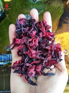 Polvo de Flor de Hibisco Seca para Suplementos de Salud, Extracto Herbal Natural, Materias Primas, Polvo de Roselle de Alta Pureza, Venta al por Mayor - Product Image 2