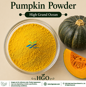 Suministro Directo de Fábrica HGO de Polvo de Calabaza (Grado Alimenticio), Polvo Vegetal Secado por Aspersión o Liofilizado - Product Image 1