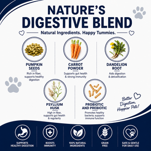 Friandises à mâcher molles pour chiens : Probiotiques pour les glandes anales, beurre de cacahuète, citrouille, enzymes digestives, contrôle des odeurs, soutien immunitaire, absorption rapide - Product Image 3