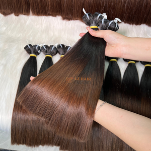 Lots de Cheveux Naturels Vietnamiens 100% Bruts, Super Double Drawn, Lisses Comme des Baguettes, Pointes Brunes, 8 - 40 pouces, Prêts à Expédier - Product Image 5