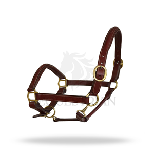 Premium <b>Leather</b> Horse Halter Padded Adjustable Brass Hardware <b>Headcollar</b> - Product Image 3