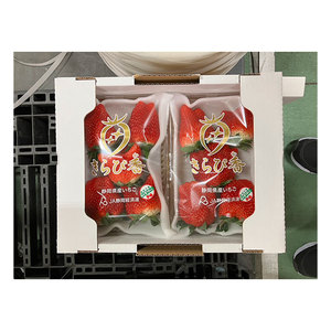 Fresas Frescas de Primera Calidad, Selección Japonesa, Sabor Exquisito, en Venta - Product Image 1
