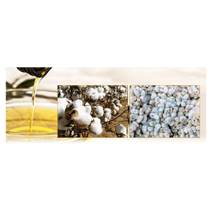 <b>Super</b> Export Quality Cotton <b>Seed</b> Oil Customized Size Pack Pure Cotton <b>Seed</b> Oil For Sale - Product Image 3