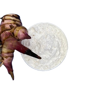 Almidón de arrowroot 100% natural y orgánico de la mejor calidad, hecho en Vietnam - Product Image 2