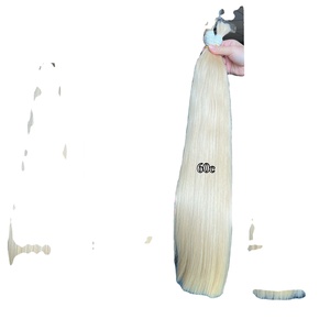 Cheveux vietnamiens épais de qualité Super Double Drawn toutes les nuances pour la couleur blonde Style droit bout soyeux et lisse - Product Image 2