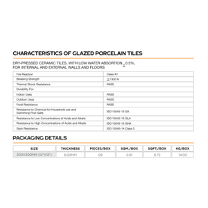 กระเบื้องพอร์ซเลนเคลือบเงา รุ่นเทอร์ราซโซ ขนาด 300x300 มม. ลายเทอร์ราซโซ สำหรับปูพื้นและผนัง ดูดซึมน้ำต่ำ ทนทาน - Product Image 5