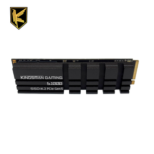 [AITC] S1000 1TB Internal <b>ssd</b> nvme m2 PCIe Gen5x4 with heatsink for Gaming AI and Workstation - Product Image 1
