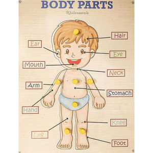 แผ่นไม้ฝึกทักษะรูปทรงร่างกายมนุษย์สำหรับเด็ก ของเล่นเสริมพัฒนาการเรียนรู้ชิ้นส่วนร่างกาย ราคาขายส่งจากโรงงาน - Product Image 1