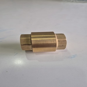 Válvula de Seguridad para Calentador de Agua Lucky Brass, 1/2 Pulgada BSP, Uso Comercial en Cocina, Accesorio de Plomería - Product Image 3