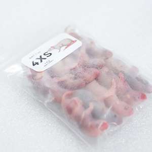 Rata Rosa Congelada de Alta Calidad (4XS) 1-2g – Libre de Salmonella, Alimento para Serpientes y Reptiles - Product Image 2