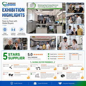 Cosses de batterie automobiles GP M8 25mm² 35mm² 16MM 2AWG 6AWG, câble de batterie de voiture, faisceau de câbles solaires en cuivre pour motos électriques - Product Image 6