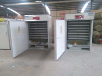 Incubateur d'œufs entièrement automatique de petite taille HJ IH1232 pour 1232 œufs, compatible avec les oies/canards/dindes, taux d'éclosion élevé
