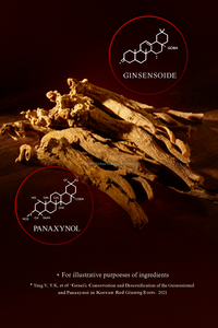 สารสกัดจากโสมแดงขนาด50มล. สมุนไพรช่วยกระตุ้นพลังพร้อมรากหมักในกระเป๋าเดินทาง - Product Image 4