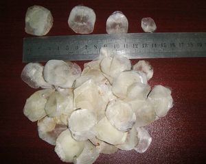 Escamas de Pescado, Oferta Especial, Materia Prima Marina Premium, OEM ODM Vietnam - Product Image 2