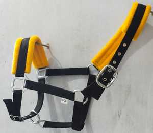 Cabestro para Caballo de Alta Calidad en PP y Nailon con Forro Acolchado Suave |   Accesorio de hierro cromado, ajustable, duradero y antideslizante - Product Image 4