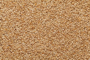 Huile de sésame indienne de qualité supérieure - Product Image 3