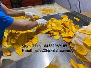 Fruta de mango suave seca a precio barato-Rodajas de Mango Seco sin azúcar-Fruta tropical suave seca en Vietnam-Sra. Shyn - Product Image 5