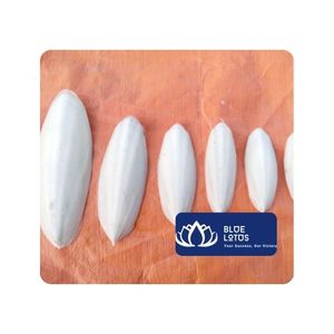 Hueso de Sepia Azul de Alta Calidad para Aves, Fuente Diaria de Calcio para el Mantenimiento del Pico, Embalaje en Caja de Vietnam, Tamaños de 3-15 cm - Product Image 1