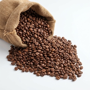 Grains de café Arabica torréfiés sans défauts 300-400 USD/tonne, approvisionnement en vrac de café Arabica, MOQ 10MT, qualité export - Product Image 6