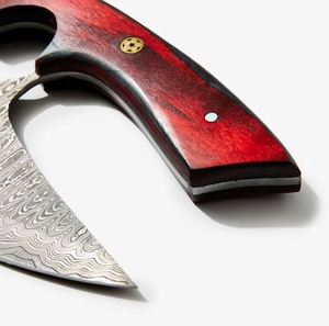 Custom Pattern High Carbon Steel Industrial Grade Pizza Cutter <b>Axe</b> Handmade Chopper Rocker Slicer Wooden <b>Handle</b> OEM/ODM Pasha - Product Image 3
