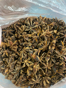 Oferta al por Mayor, Precio Económico, Anís Estrellado Fragante de Estándar Internacional, Empaque a Granel - Product Image 4