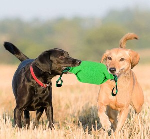 Jouet à mâcher pour chien Kinghon résistant aux morsures avec 2 poignées, produits d'entraînement professionnels pour chiens, jouets interactifs à mâcher pour chiens - Product Image 1
