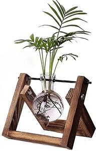 Terrario de cristal con forma de bombilla, colgante, perfecto para decorar estantes de baño, crea un ambiente relajante tipo spa, de la India. - Product Image 6