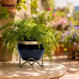 Maceta Negra Brillante con Borde Dorado y Soporte Metálico, Elegante Maceta Decorativa para Plantas de Interior, Moderna para Sala de Estar - Product Image 6