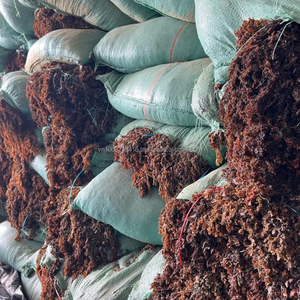 Algues Sargassum Premium, ingrédient naturel pour l'alimentation animale, 30% d'humidité max, durée de conservation de 12 mois pour poissons et bétail, Vietnam - Product Image 4
