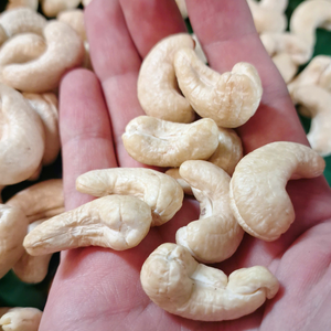 เมล็ดถั่ว santigo noix de caju จำนวนมาก - Product Image 1