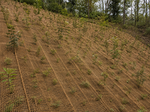Eco2go Vietnam Heavy Duty Coconut Coir Fabric | Eco-Friendly Raw Pattern Natural Fiber Net for Soil Erosion Control - Product Image 2