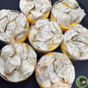 Nido de pájaro comestible de grado exportación de Vietnam, hecho con nido de salanganilla crudo para sopas y recetas dulces. - Product Image 4