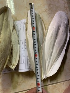 Hueso de Sepia Natural de Vietnam, tamaño 5-10cm, para Aves y Mascotas, Proveedor Mayorista OEM para el Mercado de la UE - Product Image 2