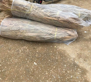 Cubierta Plegable de Paja Natural para Sombrilla de 2.1m, Fabricada en Vietnam, para Jardín Exterior, Venta al por Mayor y Exportación - Product Image 2