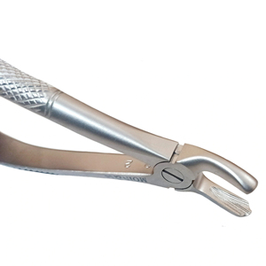 Pinzas de Extracción Dental de Acero Inoxidable para Molares Superiores Izquierdos (Figura 18) - Product Image 6