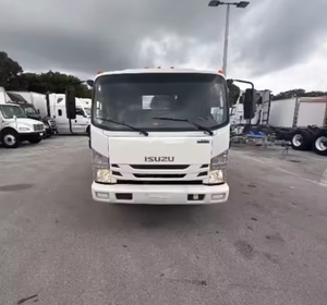 Buen Precio 2019 2020 Para Camión Isuzu NQR de Plataforma - 215HP 6 Velocidades Automático LHD/RHD Entrega Global - Product Image 4