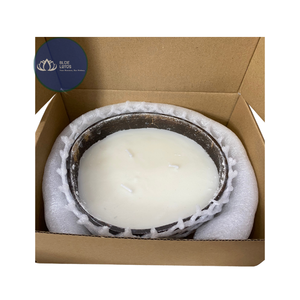 [MEJOR VENTA] |   Tazón Ecológico de Cáscara de Coco con Acabado Liso, Venta al por Mayor, Reutilizable, Vajilla Ecológica, Suministros de Vietnam - Product Image 1