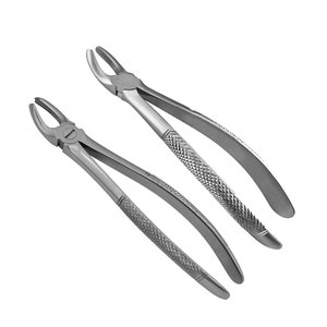 17E Left and 18E Right <b>Pointed</b> Extraction Forceps Surgical Dental Tooth <b>Removal</b> Instrument Stainless Steel <b>Tool</b> - Product Image 4
