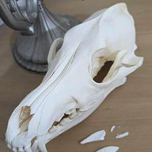 Tradebyd Premium Résine Animal Sculpté Figurine Creative Statue Faite À La Main pour Collectionneurs et Intérieurs De Maison De Luxe - Product Image 1
