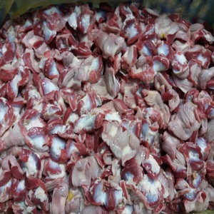 Premium Grade Organic Frozen <b>Chicken</b> Gizzard with Vitamins Bulk Packaging for Restaurants and Catering Services - Product Image 5