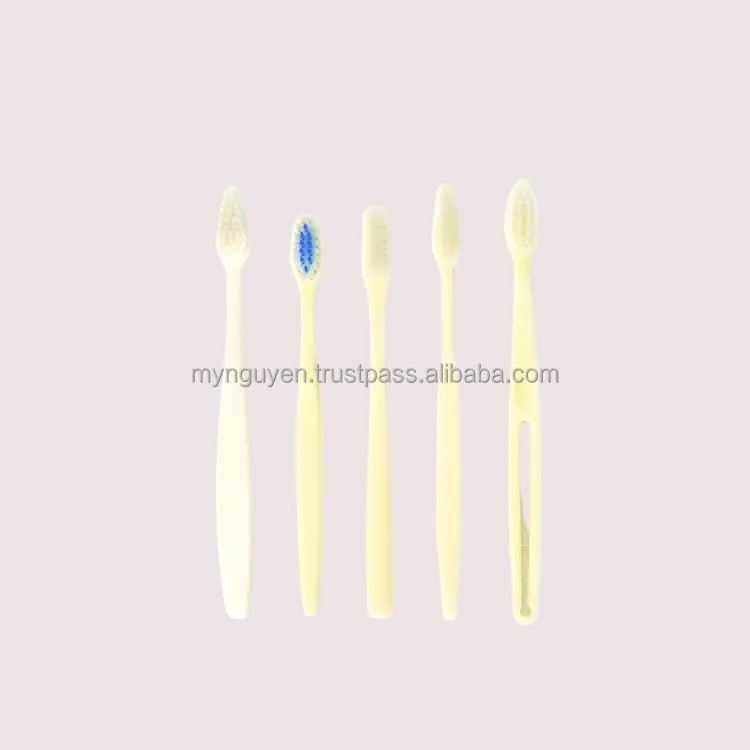 Cepillo de dientes de hotel Diseño moderno Uso para limpieza de dientes Embalaje de limpieza de dientes personalizado Oem Odm en caja Fabricante de Vietnam