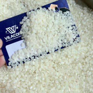 Arroz Japonés de Alta Calidad para Sushi, 3% de Grano Partido como Máximo |   Empaque de 1-50 kg |   Marca Privada Nueva Cosecha 2026 (Joice) - Product Image 1