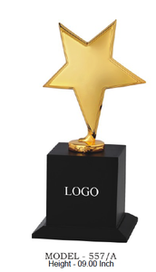 Trophée étoile modèle 698 plaqué or, argent et or rose avec gravure de logo pour activités promotionnelles, avec base en bois noir - Product Image 4