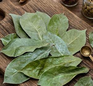 Dried Sousop Leaves Whole Herb Organic Non Sugar Black <b>Tea</b> 25 <b>Tea</b> Bags/<b>Box</b> 24 Months Shelf Life - Product Image 1