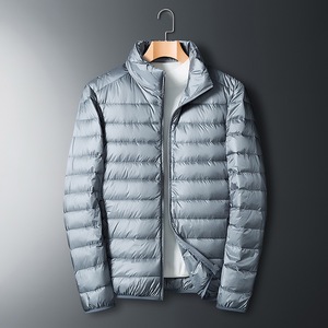 Chaqueta de Plumón Ligera para Hombre con Cuello Alto, Impermeable y Plegable, Servicio OEM Disponible - Product Image 2