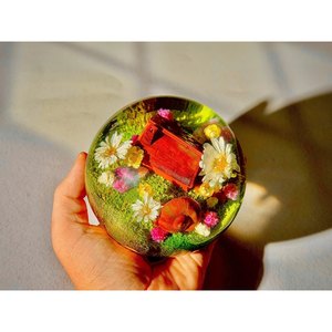 Modelos de bolas de cristal de resina epoxi, modelos de caracoles y edificios, modelos de delfines oceánicos - Product Image 2